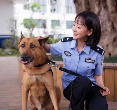 中国警犬添加新成员了！这几种狗狗你认识吗