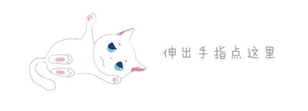 橘猫碰瓷好心人，万万没想到猫粮竟是用脸盆装的，橘猫：不走了！